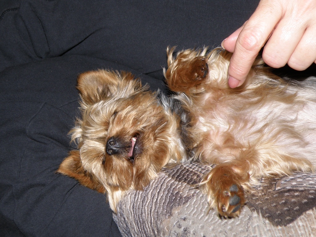 P1050916.JPG